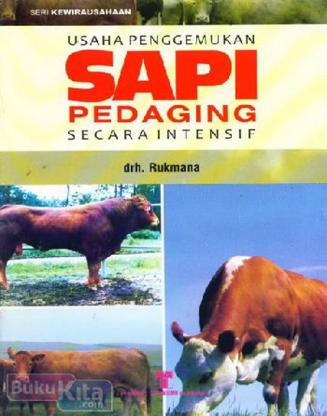 Usaha Penggemukan Sapi Secara Intensif