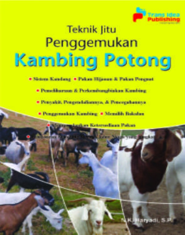 Teknik Jitu Penggemukan Kambing Potong