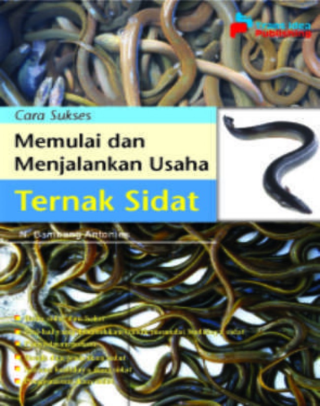 Cara Sukses Memulai Dan Menjalankan Usaha Ternak Sidat