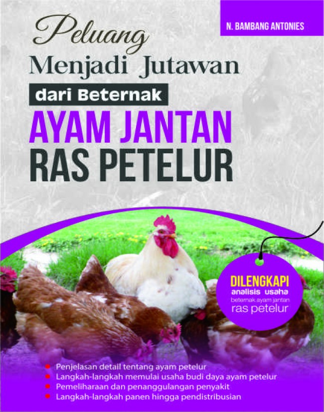 Peluang Menjadi Jutawan Dari Beternak Ayam Jantan Ras Petelur