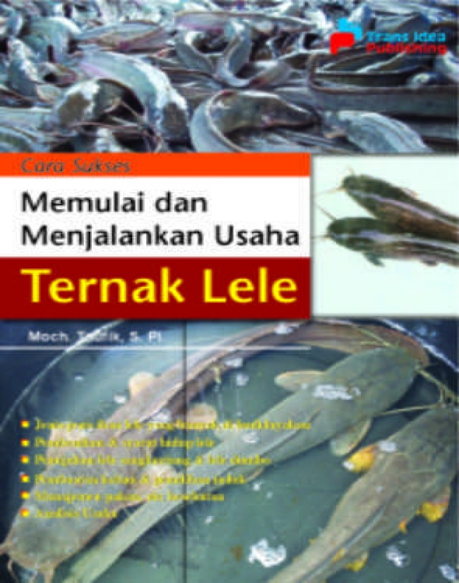 Cara Sukses Memulai Dan Menjalankan Usaha Ternak Lele