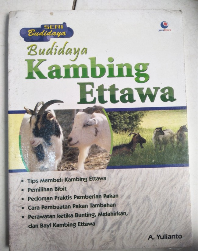 Budidaya Kambing Ettawa